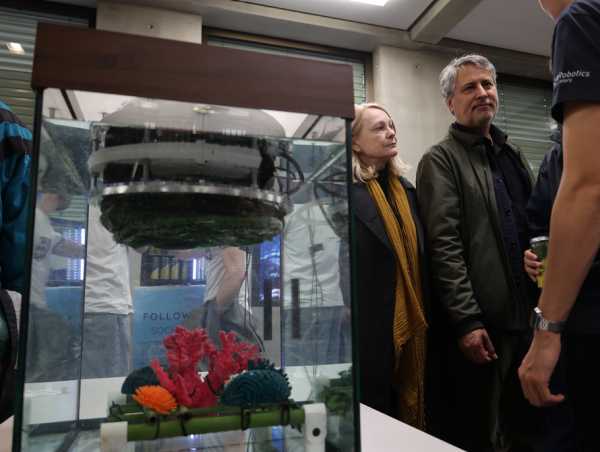 Vergrösserte Ansicht: ReefRanger Aquarium