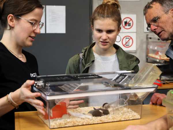 Enlarged view: Käfig für Labormäuse, entwickelt im Fokus-Projekt ARGOS