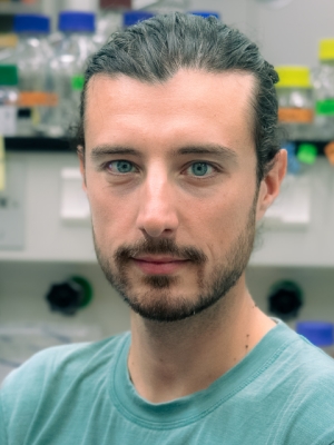 Dr.  Andrea Sottini